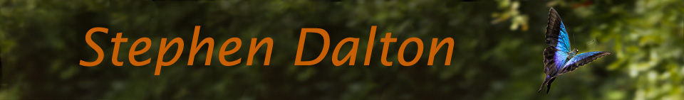 Stephen Dalton Photography